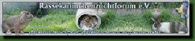 www.rkz-forum.de
